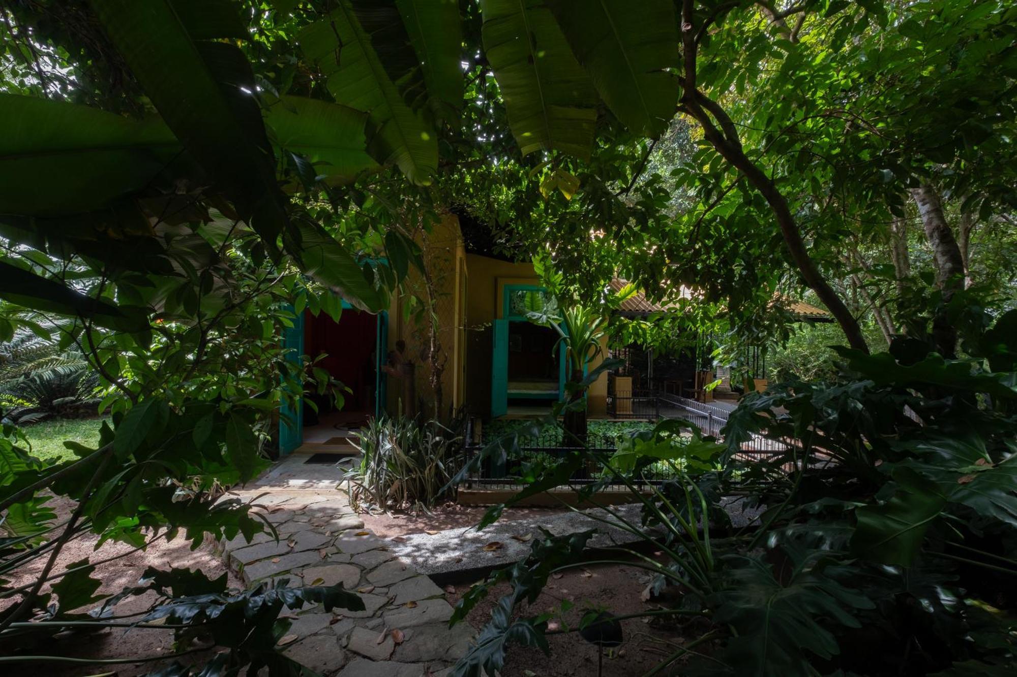 Casa Heliconia 호텔 감파하 외부 사진